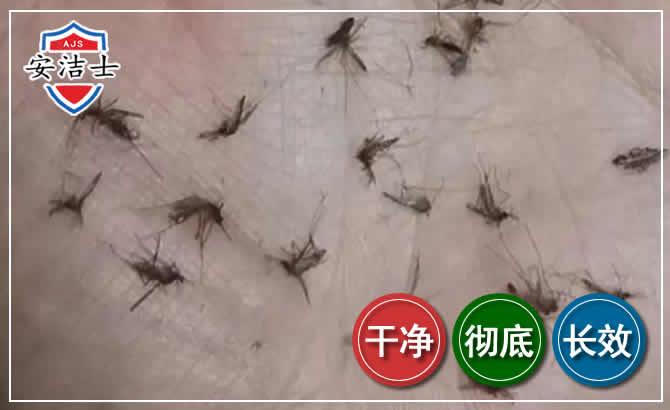 新昌蚊子防治-灭蚊
