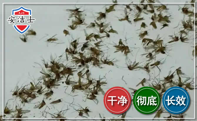 新昌苍蝇防治-灭蝇