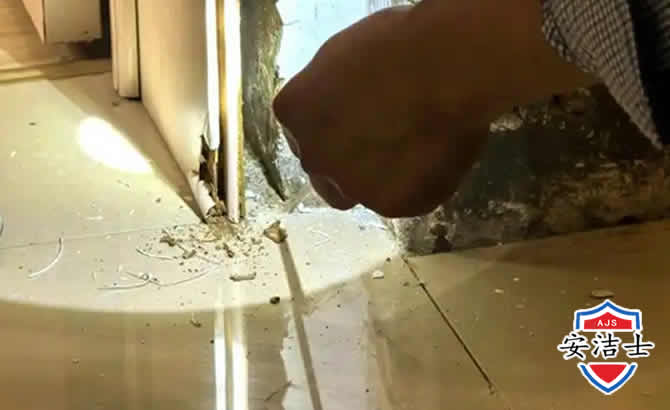 新昌房屋建筑防治白蚁