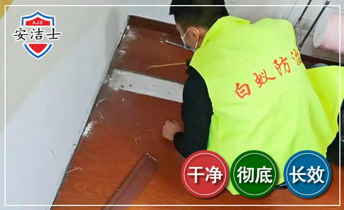 新昌除四害现场