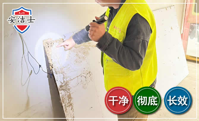 新昌除白蚁现场