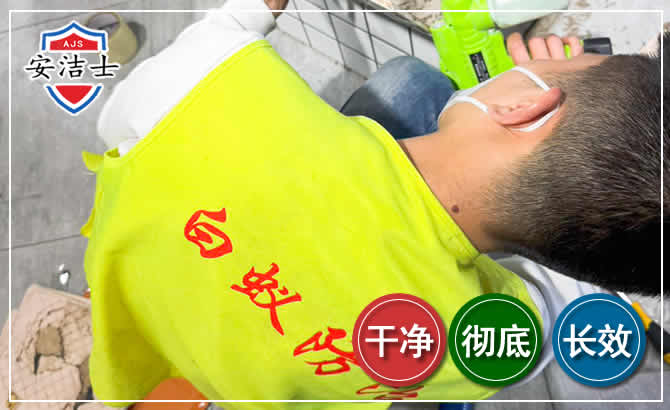 新昌白蚁根治现场